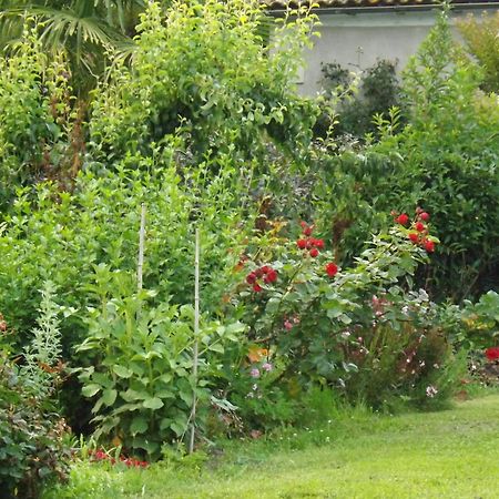 Damechouette Bed & Breakfast Pujols  Luaran gambar