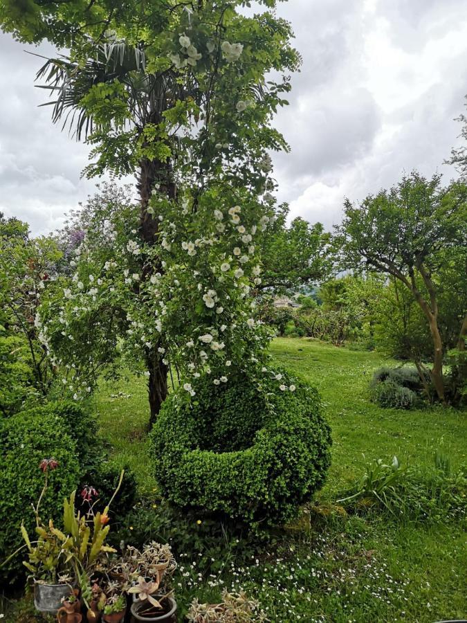 Damechouette Bed & Breakfast Pujols  Luaran gambar