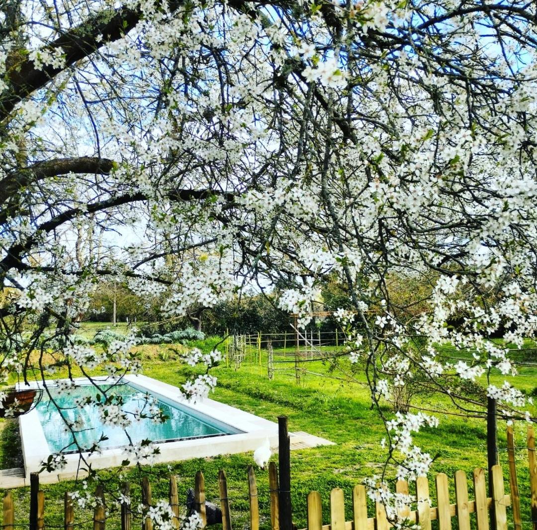 Damechouette Bed & Breakfast Pujols  Luaran gambar