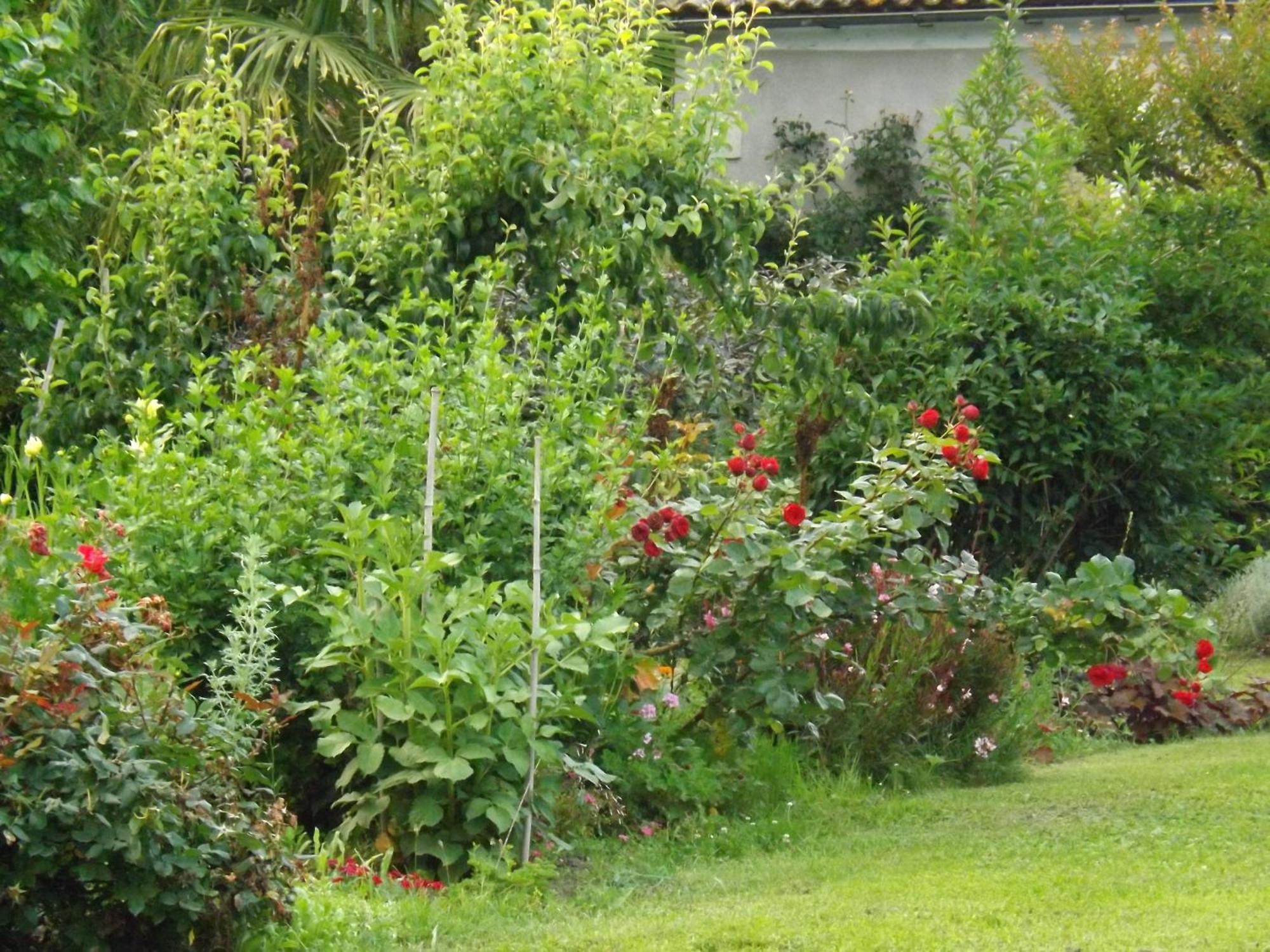 Damechouette Bed & Breakfast Pujols  Luaran gambar